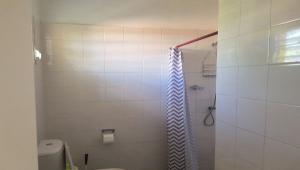 1660big_ap_05_03_custom