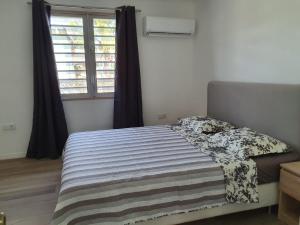 sweet-lemmon-appartment-7-2022f